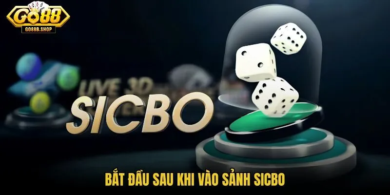 bat-dau-sau-khi-vao-sanh-sicbo