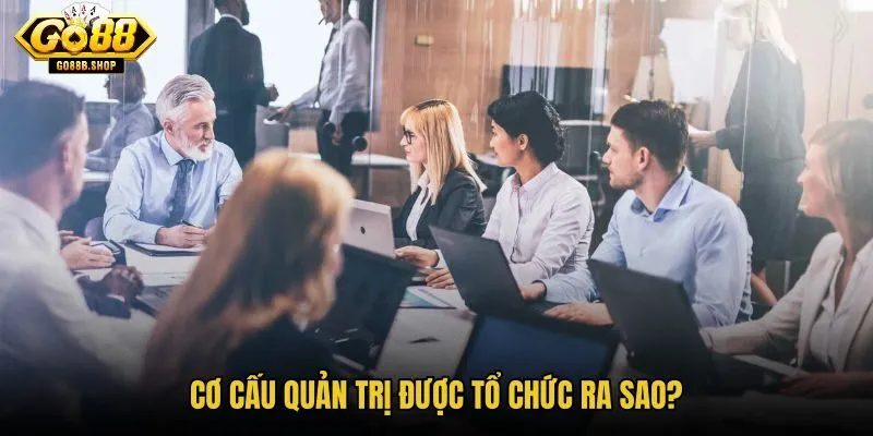 co-cau-quan-tri-duoc-to-chuc-ra-sao
