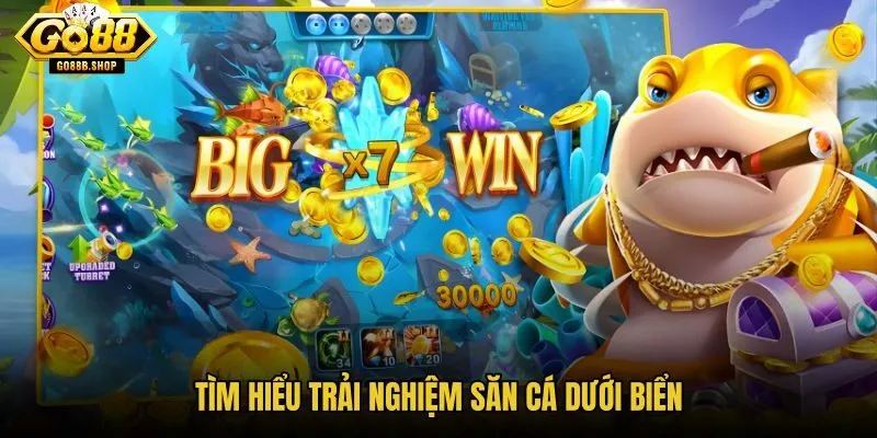 tim-hieu-trai-nghiem-san-ca-duoi-bien tim-hieu-trai-nghiem-san-ca-duoi-bien