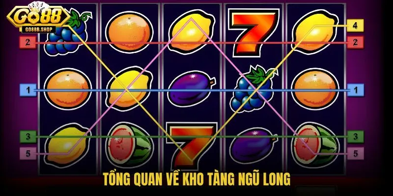 tong-quan-ve-kho-tang-ngu-long